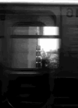 Guest_ophyx