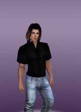 Guest_LeoLionHeart