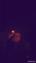 Guest_nugget618954