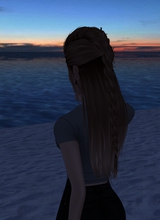 Guest_Djentz