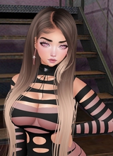 Guest_DD2RX