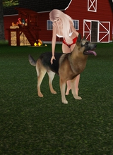 avatar picture