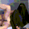 Guest_iloveyourwife4