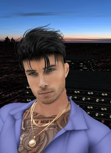 ERDAL1