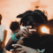 Guest_OmgDinero