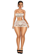 DRISA