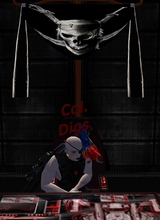 SirDigsTheDestorier