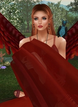 avatar picture