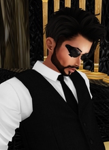 SirPhoenixBlood