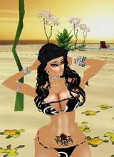 dede12344