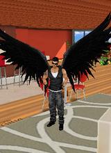 avpic