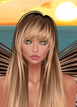 immagine avatar