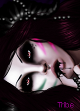 Creator: Tribe