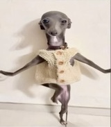 Contenta