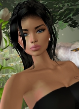 Canvas: xKeyKeyLynnx