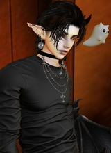 Shadowthebeargod