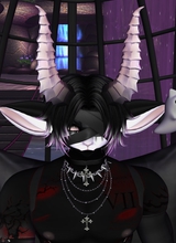 Shadowthebeargod