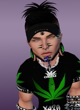 xDomSinNit3Wolfx