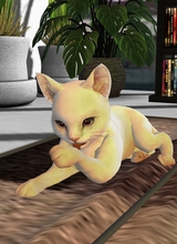 lnured