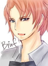 Brief