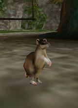Maus