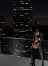 SexyFemBoss