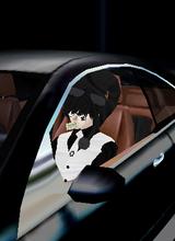 Sl8e1r