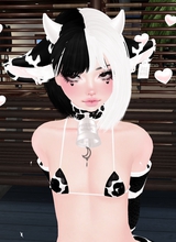 kitarieluv