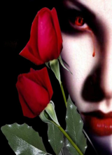 Creator: RedRose