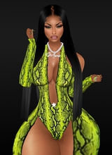 KoldSoExotic