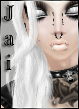 Canvas: Artalyn