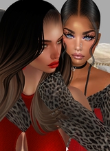 QueenAuraNova