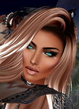 Canvas: ArtemisJasmine