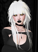 Canvas: Nightsong