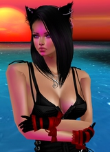 DJNina31TX