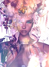 PandoraBreeze