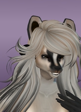epicXhoneyXbadger