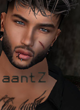 avatarbild