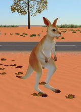 xxadinaxxpaced