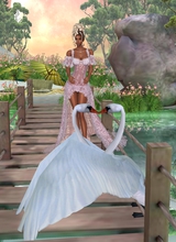 Hippura