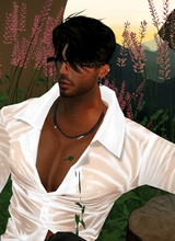 avatar picture