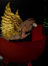 Drsic