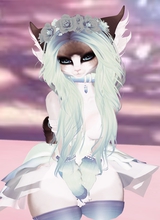 LilMnsterKittenStnrZ