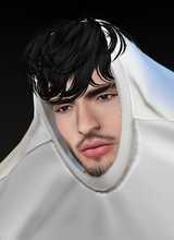 Canvas: T0IV