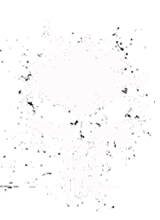 EthanX