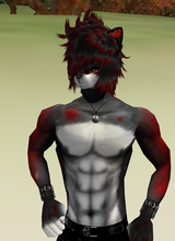 WolfxStar