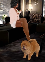 MZBLACKSATINWMSGOLD