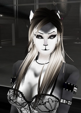 avatar picture
