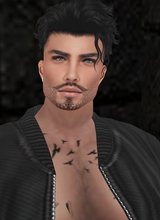 davidaries