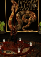 MrNightCobra